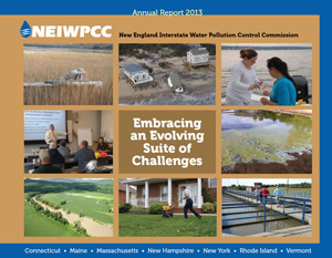annual report