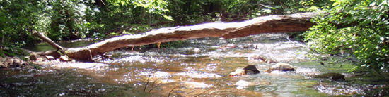 Water Quality Division - Babling Brook Image