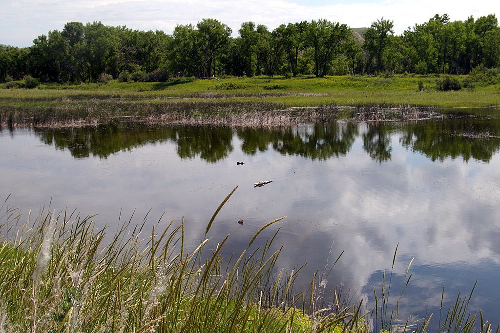 Waterbody