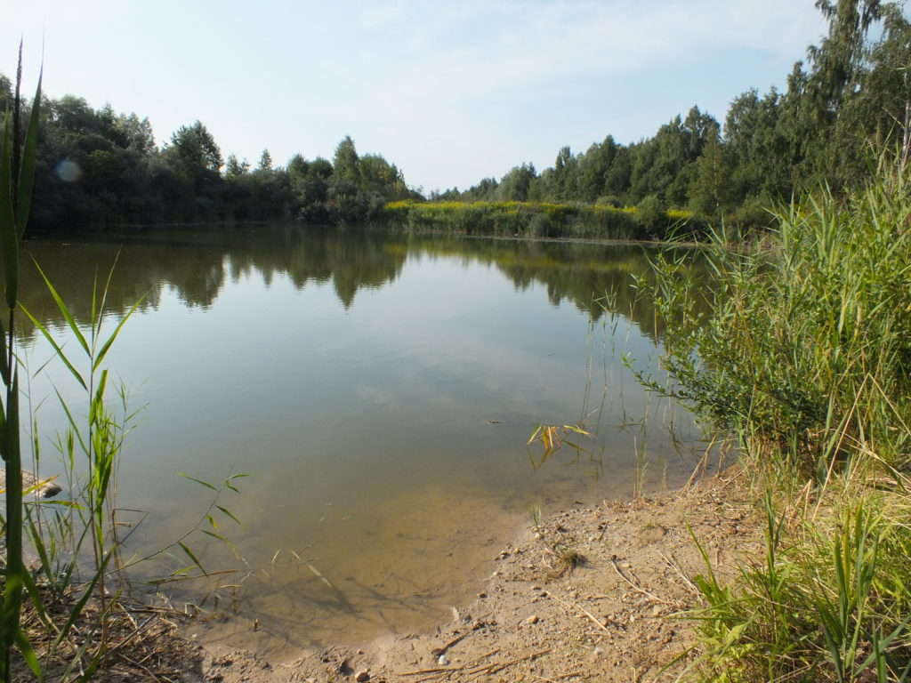 Waterbody